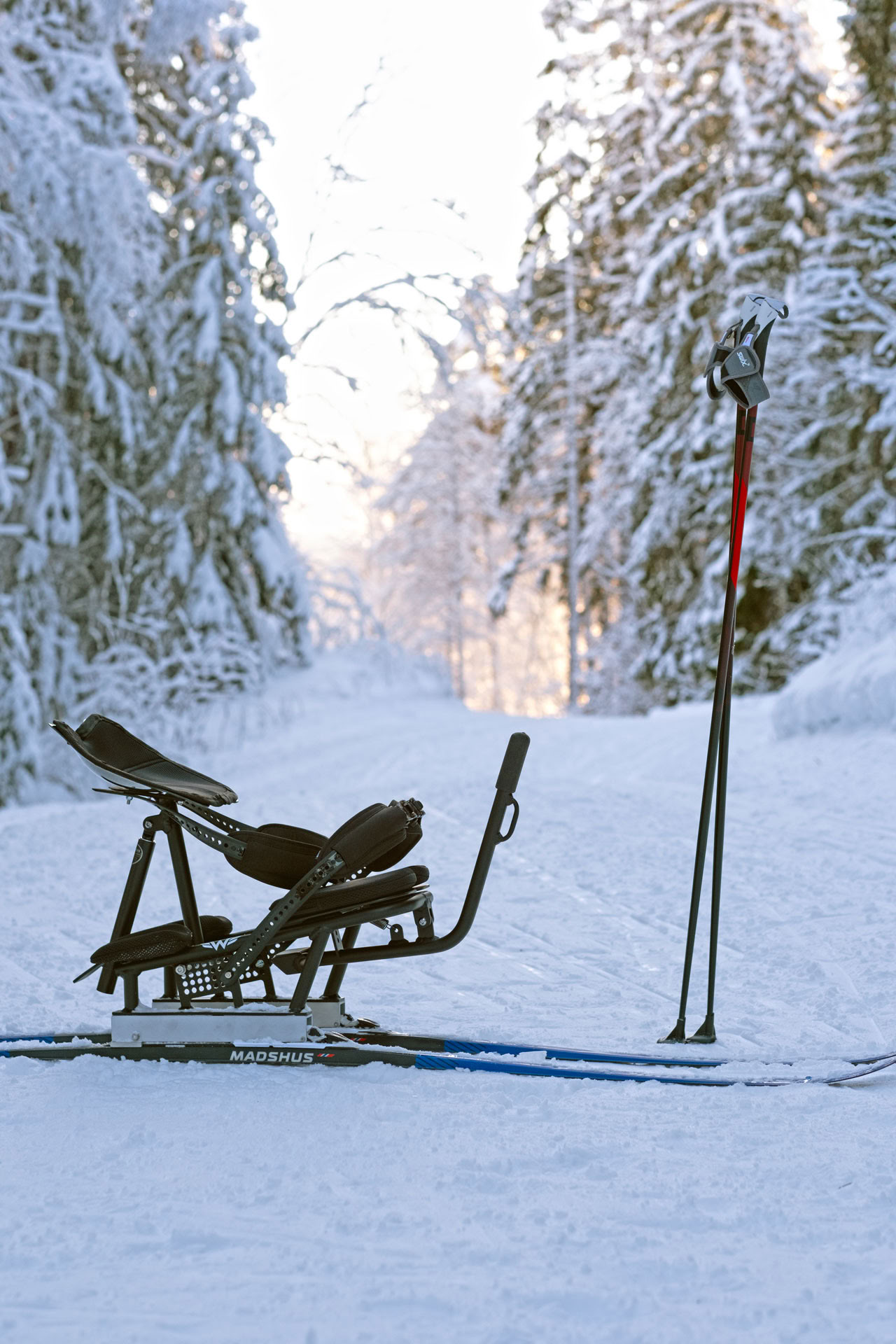 Ski- og piggekjelke i bruk